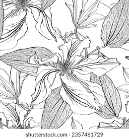 Seamless floral pattern with bouquets of line clematis flowers, buds, curly branches with leaves hand drawn isolated on a white background. Floral pattern.