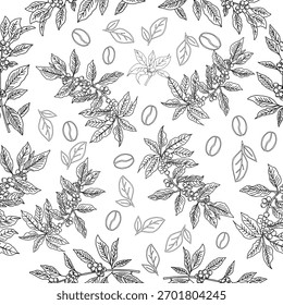 Nahtloses Blumenmuster. Zweig mit Blättern. Vektorgrafik des Kaffeezweiges. Kaffeepflanzenzweig mit Blatt. Handgezeichneter Kaffeebaumvektor. Kaffeebohnen und Blätter. Zweig einer Pflanze