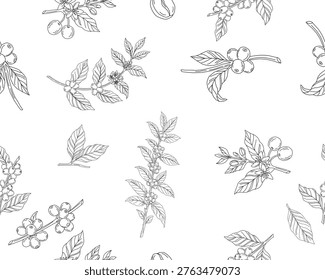 Seamless floral pattern. Branch with leaves. vector illustration of coffee branch. Coffee plant branch with leaf. Hand drawn Coffee tree vector. Coffee beans and leaves. Branch of a plant.