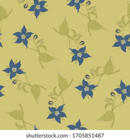 Diseño floral sin fisuras con ramas de flor borage. Oficiales de Borago. Planta de estribor. 