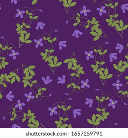 Nahtlose Blumenmuster mit Ästen von Clemitis-Blumen.