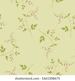 Seamless floral pattern with branches of fumitory plant. Fumaria officinalis flower. Earth smoke blossom.