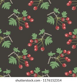 Seamless floral pattern with branches of hawthorn berries. Flat cartoon style. 