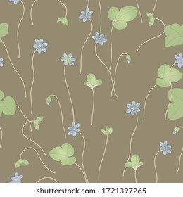 Seamless floral pattern with branches of Hepatica wildflower. Liverwort. Liverleaf.