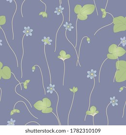 Seamless floral pattern with branches of Hepatica plant with leaves and flowers. Liverwort. Liverleaf.