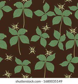 Seamless floral pattern with branches of Herb Paris plant. Paris quadrifolia. True lover's knot.
