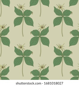 Seamless floral pattern with branches of Herb Paris plant. Paris quadrifolia. True lover's knot.