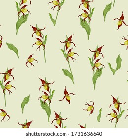 Seamless floral pattern with branches of Lady's slipper flower. Wild orchid. Cypripedium calceolus.