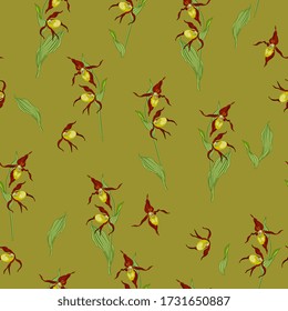 Seamless floral pattern with branches of Lady's slipper flower. Wild orchid. Cypripedium calceolus.
