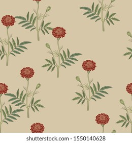 Seamless floral pattern with branches of marigold flower. (Tagétes). On black background.