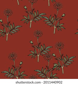 Seamless floral pattern with branches of marigold flower. (Tagétes). On red background.