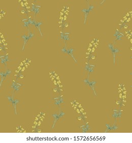 Seamless floral pattern with branches of Meadow Vetchling flower. Lathyrus pratensis. Vintage style.