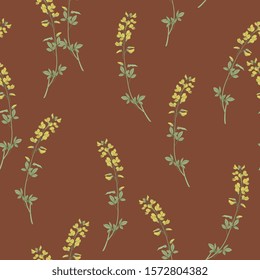 Seamless floral pattern with branches of Meadow Vetchling flower. Lathyrus pratensis. Vintage style.