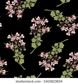 Seamless floral pattern with branches of Pelargonium Peltatum flower (Cascading Geranium). Vintage style.