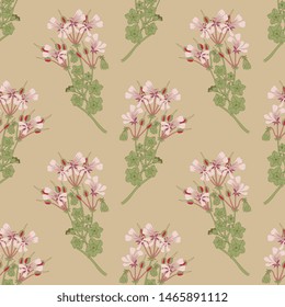 Seamless floral pattern with branches of Pelargonium Peltatum flower (Cascading Geranium). Vintage style.