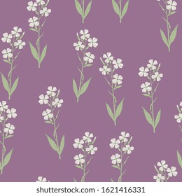 Seamless floral pattern with branches of white flowers. Hesperis Alba. Dame's Rocket. Sweet Rocket.