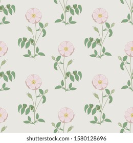 Seamless floral pattern with branches of wild rose. Vintage style.