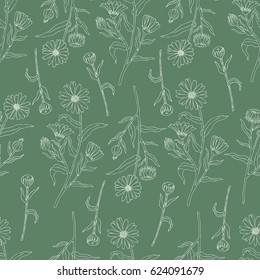 Seamless floral pattern, Calendula flower isolated on green background, botanical hand drawn doodle vector illustration marigold for design package tea, cosmetic, greeting card, wedding invitation