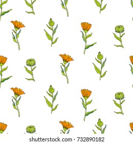 Seamless floral pattern, Calendula flower isolated on white background, botanical hand drawn vector illustration marigold for design package tea, cosmetic, greeting cards, wedding invitation, textile