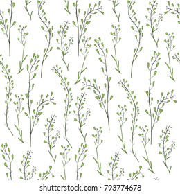 Seamless floral pattern, Capsella flower, Shepherd's purse, Capsella bursa-pastoris, the entire plant, hand drawn vector ink sketch isolated on white, for design cosmetic, textile, natural fabric