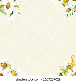 Seamless floral pattern with chamomiles and mimosas