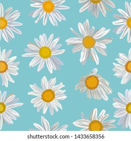 Seamless floral pattern. Chamomiles on a blue background, for the design of textiles, wallpapers, cards. Vector drawing