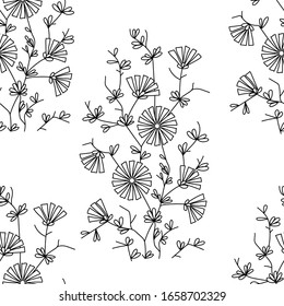 Seamless floral pattern, chicory herb. Outline drawing. Textile fabric. Flower decoration. Vector illustration.