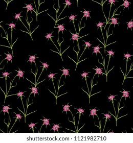 Seamless floral pattern with Corn Cockle flowers. Vintage style.