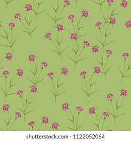 Seamless floral pattern with Corn Cockle flowers. Vintage style.