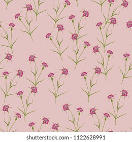 Seamless floral pattern with Corn Cockle flowers. Vintage style.