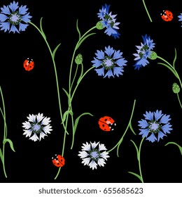 Seamless floral pattern with cornflowers and ladybugs on black background. Cute folk style.