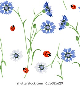 Seamless floral pattern with cornflowers and ladybugs on white background. Cute folk style.