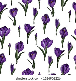Seamless floral pattern with crocus flower on white. Springtime flower. Wrap, cover, paper