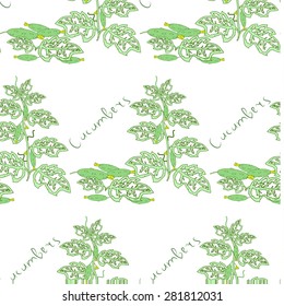 Seamless floral pattern with cucumber bushes. Vector illustration.