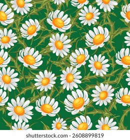 Seamless floral pattern,  Cute botanical design, hand drawn flowers