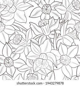 Seamless floral pattern with daffodils on a white background. Illustration for coloring books, textiles, fabrics, wallpaper
