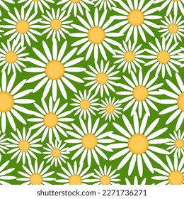 Nahtloses Muster mit Gänseblümchen auf weißem Hintergrund. Vektorgrafik.