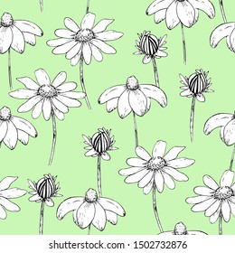 Seamless floral pattern with daisy flowers. Design or wallpaper, textile design, packing, textile, fabric. 
