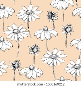 Seamless floral pattern with daisy flowers. Design or wallpaper, textile design, packing, textile, fabric. 