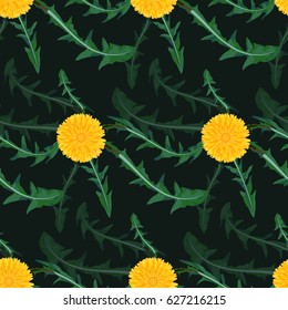 Seamless floral pattern. Dandelion elements background. Plant texture for design