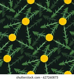 Seamless floral pattern. Dandelion elements background. Plant texture for design