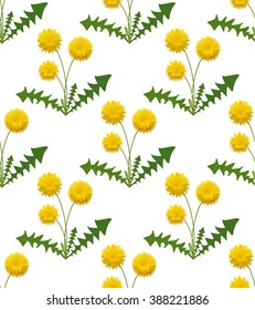 Seamless floral pattern. Dandelion. Flowers texture. Pattern with flowers. 