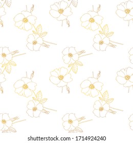 Seamless floral pattern.For decoration and design of fabric, paper, packaging, Wallpaper.Gold contour pattern of flowers on a white background.Dogrose.