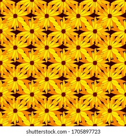  Patrón floral sin soldadura. Fondo botánico decorativo de flores rudbeckia brillantes dibujadas a mano. Diseño primaveral para textil, álbumes, estampados.
