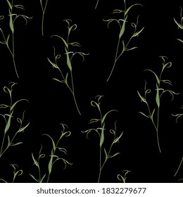 Seamless floral pattern with Eucalyptus branches with leaves. Green boughs on black background.