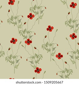 Seamless floral pattern with flowers of poppy plant.