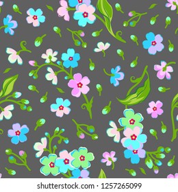 Seamless floral pattern, forget-me-not, dark grey background, vector graphics