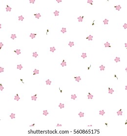Seamless floral pattern forget-me-not pink flowers. Myosotis gentle flower pattern on white background, vector, eps 10