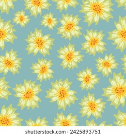 Patrón floral sin costuras, suave impresión ditsy con botánica de primavera. Diseño botánico lindo para la tela, papel: pequeñas flores dibujadas a mano, plantas silvestres, hojas