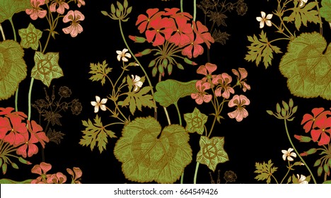Seamless floral pattern. Green foliage, red, white geranium flower or pelargonium on black background. Vintage vector illustration. Hand drawing. Template for packaging, textiles, paper, fabrics